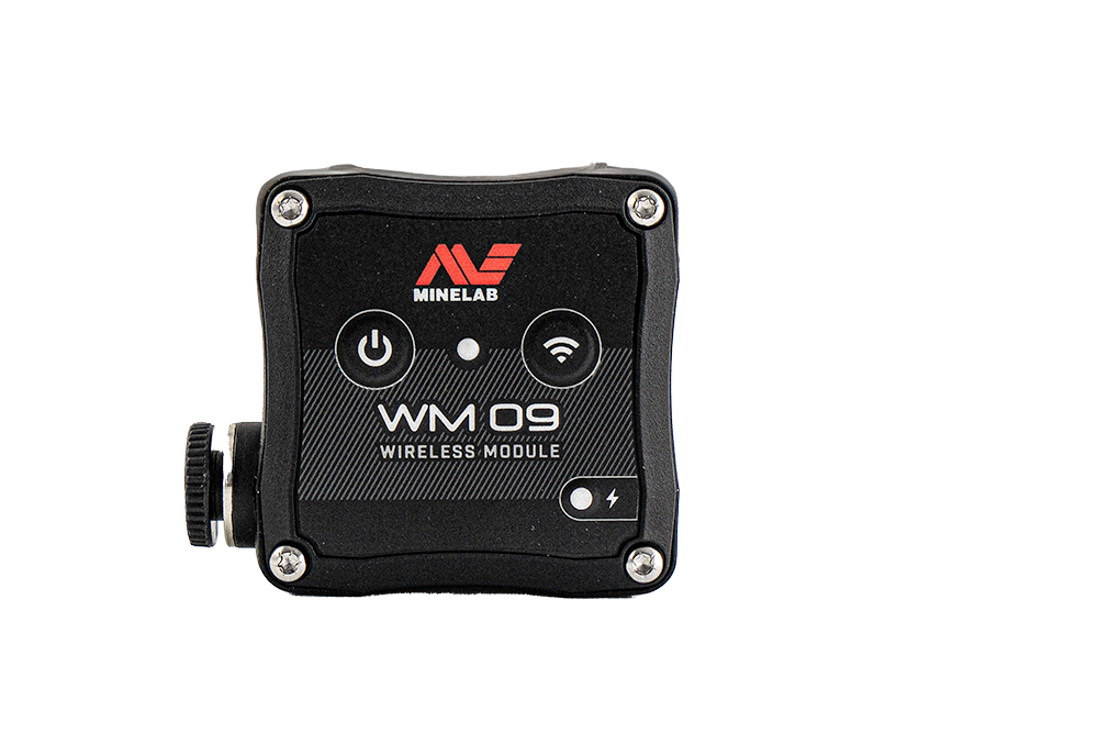 Módulo de áudio WM09